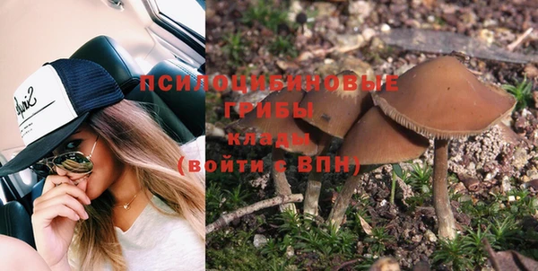 a pvp Арсеньев