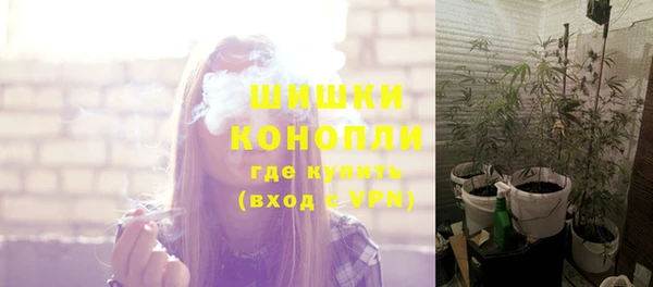 apvp Аркадак