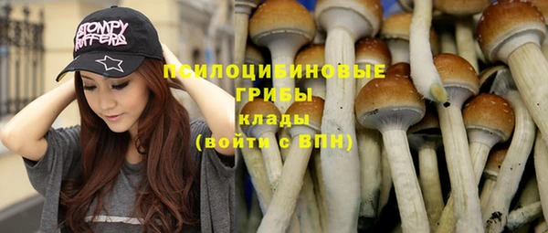 прущая мука Ельня